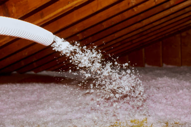 Best Residential Insulation in Pioneer, CA