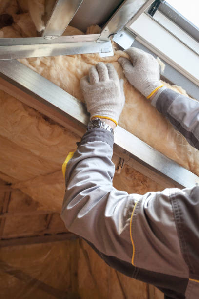 Best Types of Insulation in Pioneer, CA
